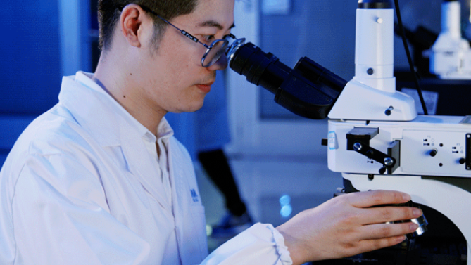 28圈(中国游)官方网站