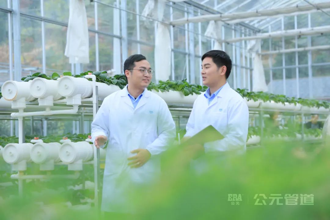 28圈(中国游)官方网站